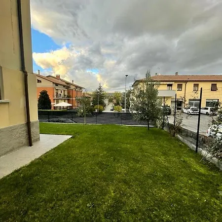 Camelia * Città di Castello