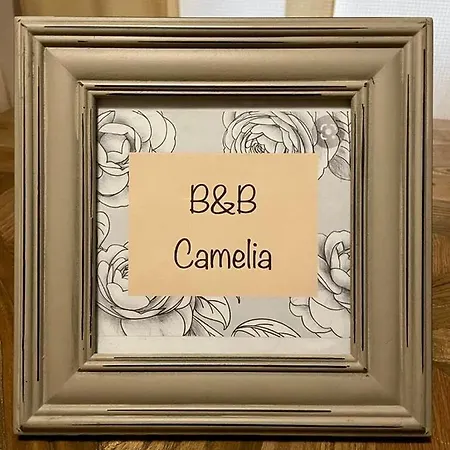 Camelia Couette-café *