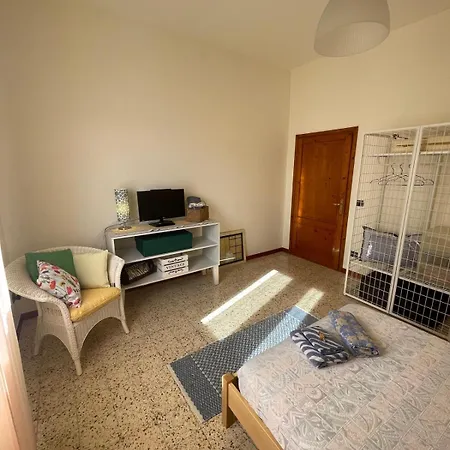 Camelia Bed & Breakfast