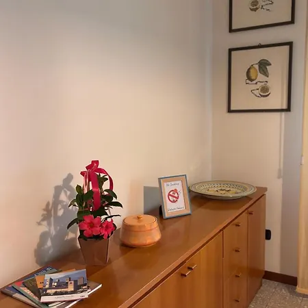 Camelia 卡斯泰洛城