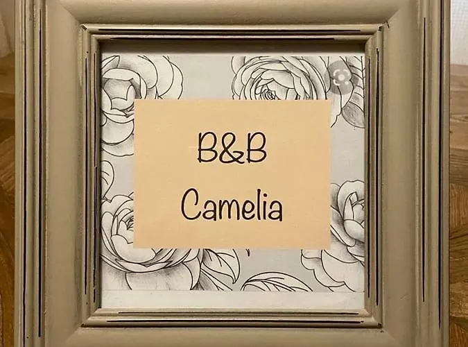 Camelia Bed & Breakfast *
