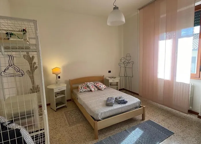 Camelia * Читта-ди-Кастелло