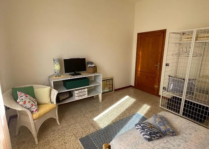 Camelia Bed & Breakfast