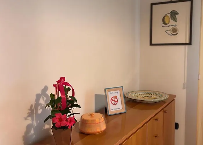 Camelia Città di Castello